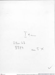 Historisches Foto (Rückseite) von Gastrosacus eminens (Blaschke, 1911) (NHMW-AFW-GEO-BACHMAYER-FOTO-1990-0041-3374)